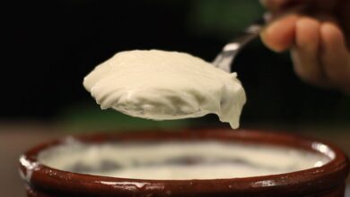 Simple Kitchen Tips to Keep Curd Fresh and Mild Even During Peak Summer Heat
