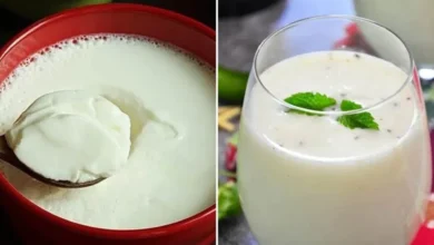 Summer Gut Health: Choosing Between Curd and Buttermilk for Better Digestion