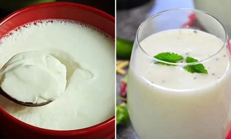 Summer Gut Health: Choosing Between Curd and Buttermilk for Better Digestion