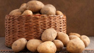 Summer Potato Consumption: What You Need to Know About Benefits and Risks