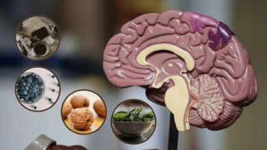 Superfoods You Should Not Miss To Keep Your Brain Sharp And Healthy