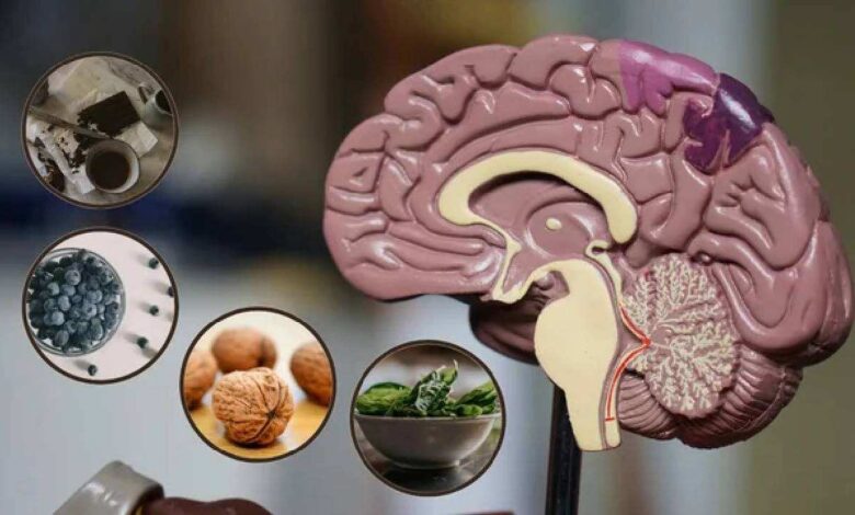Superfoods You Should Not Miss To Keep Your Brain Sharp And Healthy