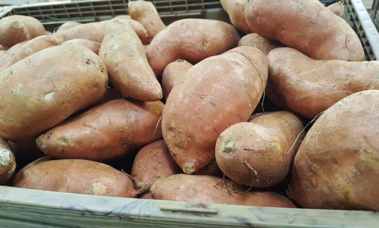 Sweet Potato From Sharper Vision to Stronger Heart This Everyday Root Packs Powerful Benefits