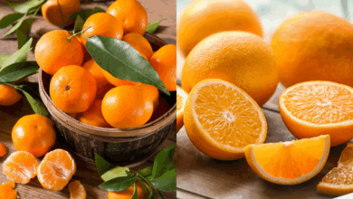 Why Oranges Deserve More Attention in Daily Diets Experts Highlight Surprising Health Benefits