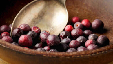 Why Phalsa Is Becoming a Popular Summer Fruit for Cooling the Body and Supporting Heart Health