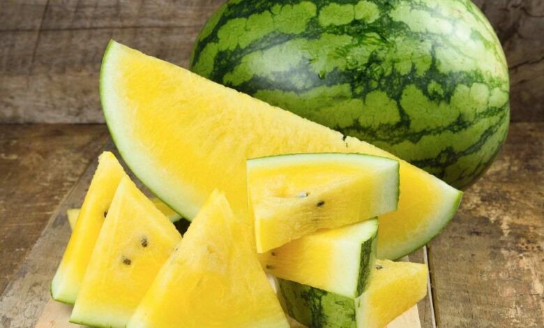 Yellow Watermelon Gains Attention for Its Nutritional Benefits and Health Boosting Properties