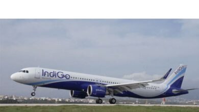 Central Government Issues New Airline Seat Charge Guidelines for Passengers