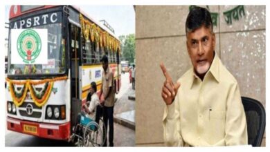 Divyang Shakti Scheme Launched in Andhra Pradesh Offering Free Bus Travel