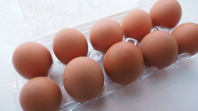 Egg Expiry Date Rule Introduced in Uttar Pradesh Raises Food Safety Awareness
