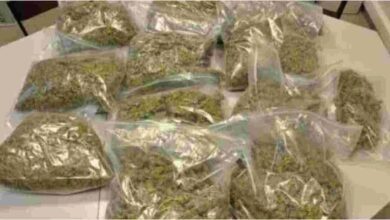 Massive Ganja Seizure in Malkajgiri, Two Interstate Smugglers Held