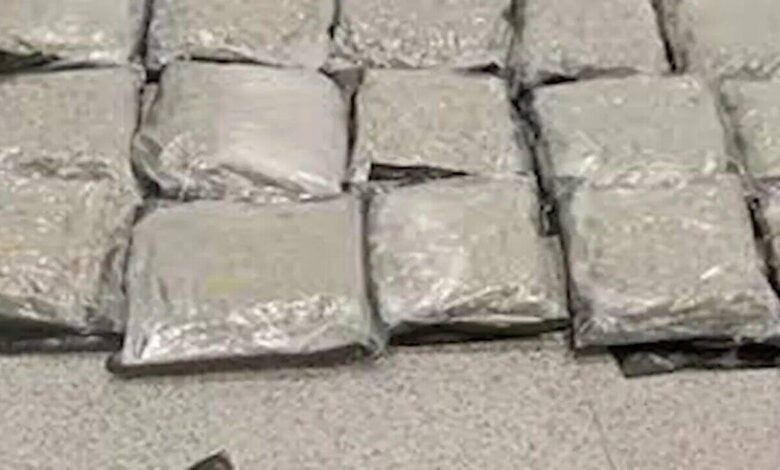 Ganja Seized at Shamshabad Airport Drugs Worth 3.18 Crore Recovered