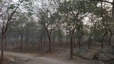 Telangana Government Declares Gurranguda Forest as Reserve Forest Near Hyderabad
