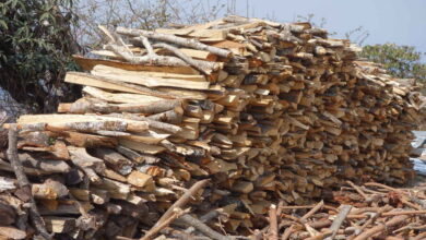 Hyderabad Gas Shortage Forces Hotels to Shift to Firewood Cooking