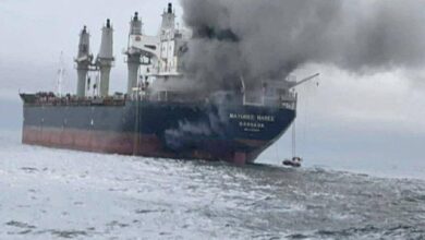 Iran Missile Attack on Ship Near Strait of Hormuz Raises Global Concern