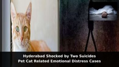 MBBS Student Suicide Over Pet Cat Triggers Concern After Two Deaths in Hyderabad