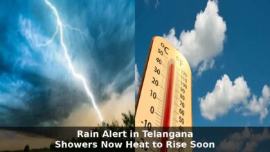 Rain Alert for Telangana as Weather Department Predicts Showers in Coming 24 Hours