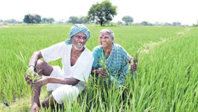 Rythu Bharosa Scheme Funds to Be Deposited in Farmers Bank Accounts Soon