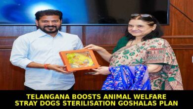 Telangana Expands Animal Welfare With Stray Dog Sterilisation and Goshalas Plan
