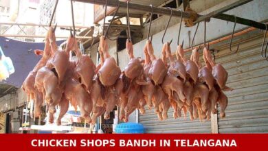 Chicken Shops Bandh in Telangana from April 1 Over Margin Dispute by Poultry Companies