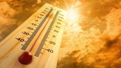 Telangana Government Increases Heatstroke Death Compensation to 4 Lakh