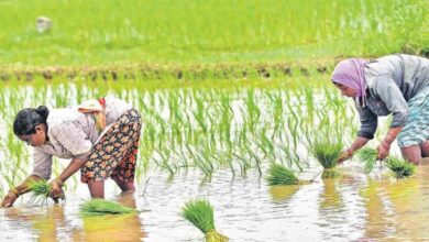 Telangana Government to Launch New Scheme Offering Free Loans and Farm Machines for Women Farmers