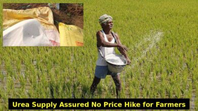 Centre Assures Stable Urea Supply as Farmers Get Relief Amid Global Price Surge