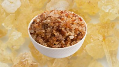 Gond Katira: The Superfood That Keeps Your Body Cool and Healthy This Summer