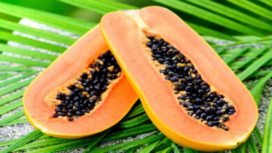 Papaya Is Healthy but Not for Everyone Experts Urge Caution for Certain Conditions