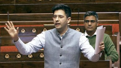 Raghav Chadha Calls for Legal Right to Paternity Leave in Parliament