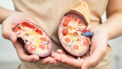 Rising Creatinine Levels: What It Means for Kidney Health and How to Protect Yourself