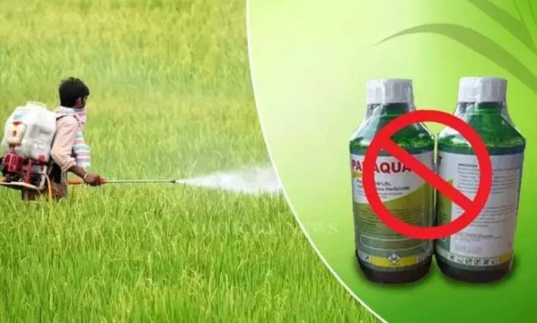 Telangana Government Bans Paraquat Dichloride Herbicide Over Serious Health Risks