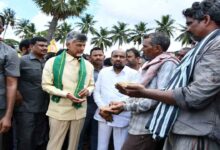 Amaravati farmers receive relief with loan waiver and increased annual rent announcement by Chandrababu Naidu for land pooling participants