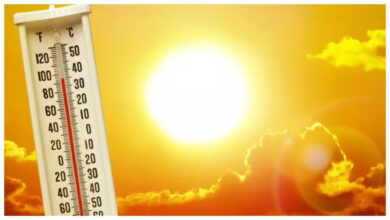 andhra-pradesh-heatwave-44-degrees-high-temperature-alert.