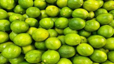 Lemon prices rise in Andhra Pradesh reaching Rs 200 per kg due to high summer demand and low supply in markets