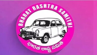 BRS party leaders and workers celebrating formation day with pink flags in Telangana