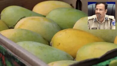 Fake Mango Alert: CP Sajjanar Warns Public Against Chemical Ripened Fruits This Season