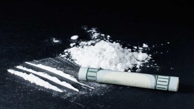 Eagle team conducting drugs raid at Taramati Resort Hyderabad testing attendees including Bollywood celebrities during late night event