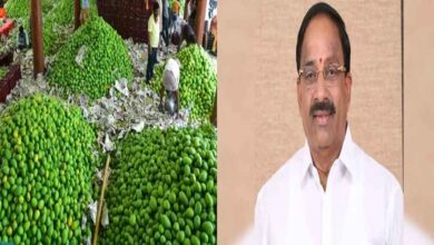 Hyderabad international fruit market project at Koheda with large scale infrastructure to boost exports and farmer income