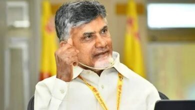 Chandrababu Naidu addressing a public rally during NDA election campaign in Tamil Nadu