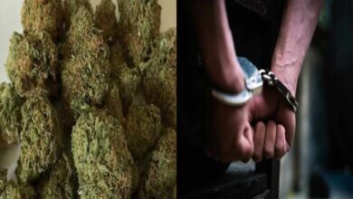 Police arrest suspect in Shamirpet ganja seizure case during crackdown on illegal drug trade involving local youth