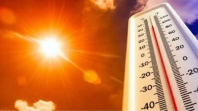 Severe heatwave conditions in Telangana with temperatures crossing 43 degrees as people face extreme summer heat and follow safety precautions