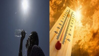 Telangana heatwave alert as temperatures rise close to 45 degrees affecting multiple districts and public safety