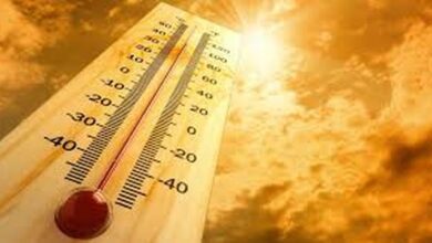 Telangana heatwave alert issued for 16 districts with temperatures expected up to 44 degrees and possible rainfall forecast by weather department