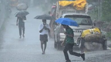 Moderate Rains Forecast in Telangana for Three Days Amid Rising Heat