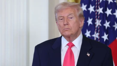 Donald Trump speaking about delaying military action on Iran and easing tensions over Hormuz Strait