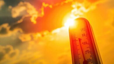 People facing intense heatwave conditions in Telangana and Andhra Pradesh as temperatures cross 46 degrees with red alert issued