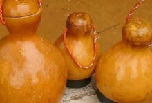 Ancient Natural Fridge Still Keeps Water Cool Without Electricity