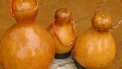 Ancient Natural Fridge Still Keeps Water Cool Without Electricity