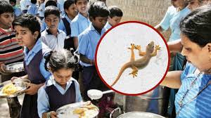 Can Food Touched by a Lizard Become Dangerous Experts Explain the Real Health Risk