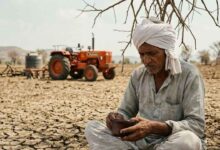 Farmers Can Get Up to Rs. 12.5 Lakh Under Canara Bank Kisan Plan